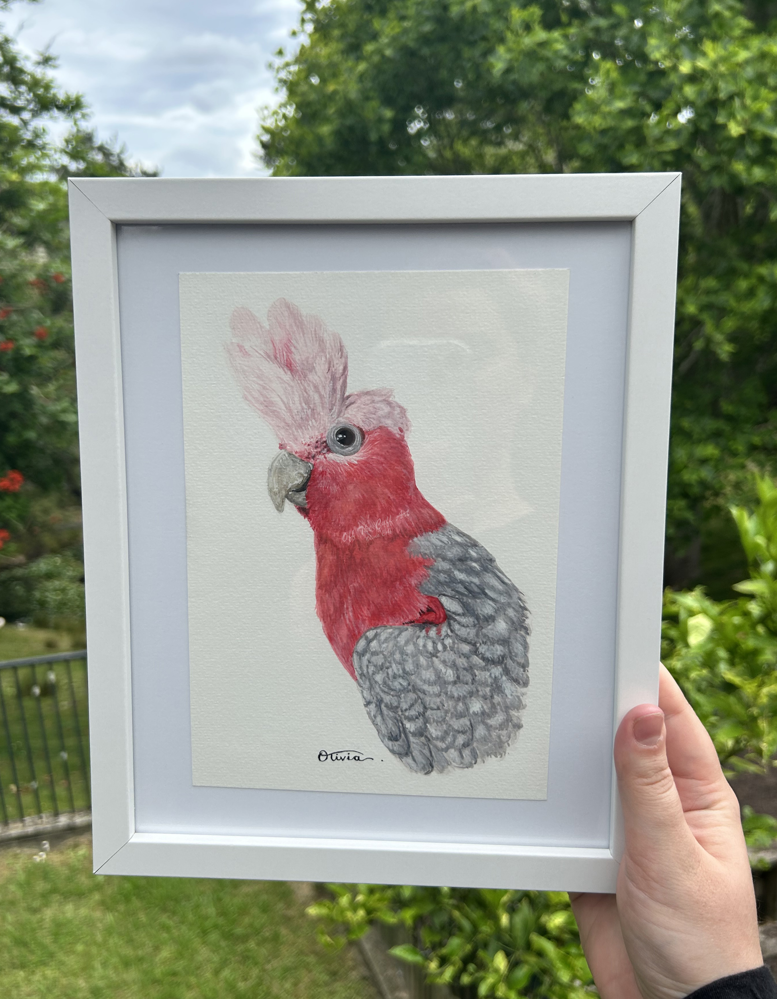 bird popat framed